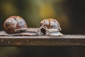AGAクリニックの評判はどう確認すればいい？